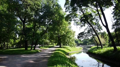 Green park with small river Video stock 45970425