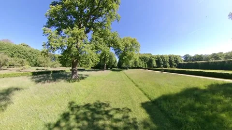 Green Park in Spring - Deciduous Forest Trees Stock Footage 289305336