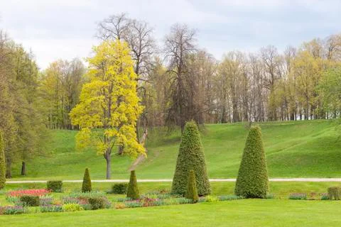 Green park in spring Stock Photos