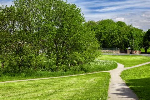 Green park in the spring Foto stock