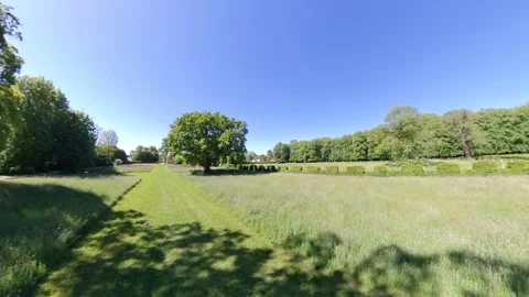 Green Park in Spring - Walk to an old Oak Tree Stock Footage 289305695
