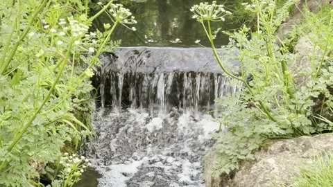 Green park stream falling down weir aerial Vídeos de archivo 335541936