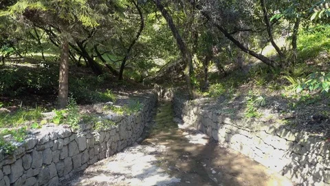 Green park with a stream Stock Footage 111917551