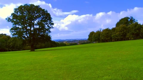 Green Park Time Lapse Stock Footage 93781783