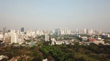 Green park trees and big city Skyline Bangkok Stock-Footage 85959413
