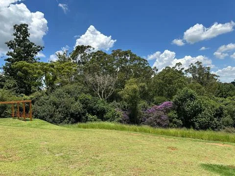 Green park with trees and clouds Stock Photos