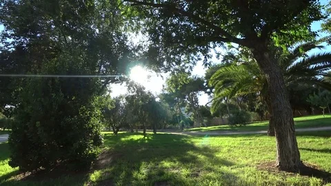 Green park view 2 Stock Footage 79700595