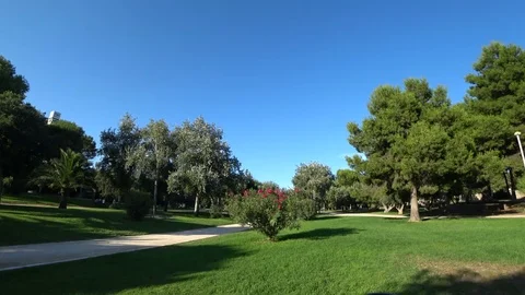 Green park view 5 스톡 동영상 79700905