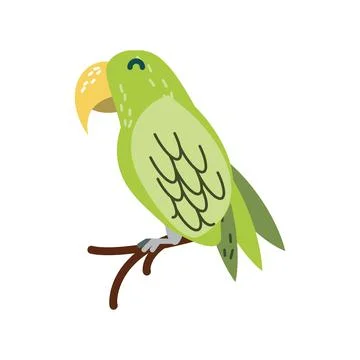 Green parrot bird Stock Illustration