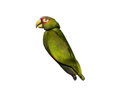Green parrot crashes to itself イラスト素材