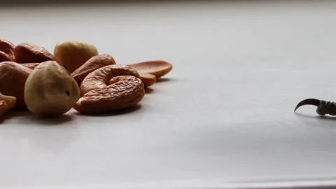 The green parrot monk approached the nuts and took a cashew nut in his beak. Stock Footage 164949672