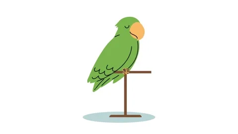 A green parrot perching on a stand in a clean white studio with minimal blu.. Stock Footage 333606752