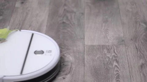 A green parrot rides on a white robot vacuum cleaner Stock Footage 243697212