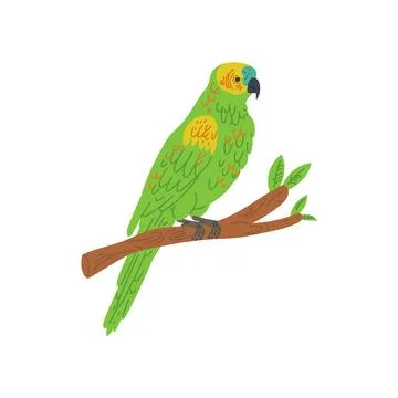 Green parrot sitting on perch flat vector illustration isolated on background イラスト素材