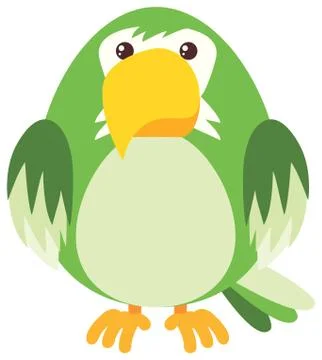 Green parrot on white background Stock Illustration