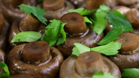 Green parsley leaves falling down on brown cooked fried champignon mushrooms Video stock 278117714