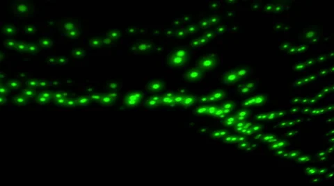 Green particle field Video stock 45515456