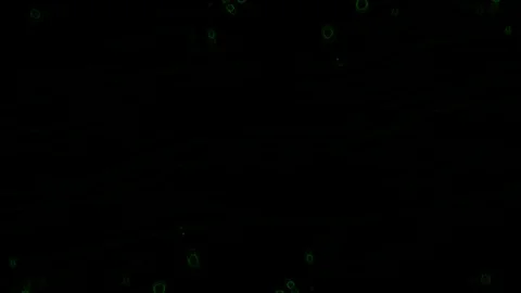 Green particles on black background 库存影片 126024164