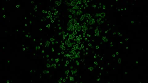 Green Particles on a Black Background a Stock Footage 131332424