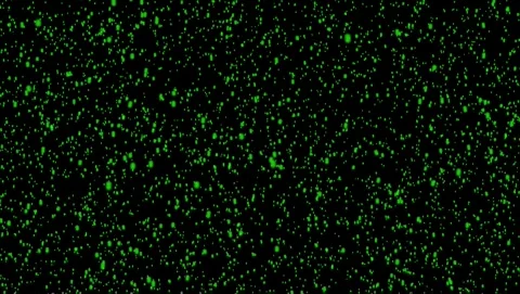 Green Particles Floating on Black Background dots specks Stock Footage 317546110