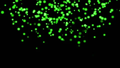 GREEN particles glowing on the black background. Black background with light  Stock Footage 218577776