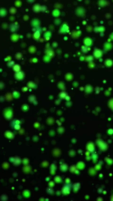 Green Particles Rise Stock Footage 310571369