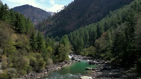 Green Parvati River surrounded by mountains with pine trees at Parvati Stock-Footage 237444201