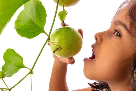 Green Passion fruit Foto stock