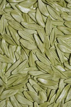 Green Pasta Texture Stock Photos