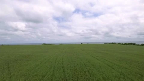 Green pasture and cloudy sky Stock Footage 138018815