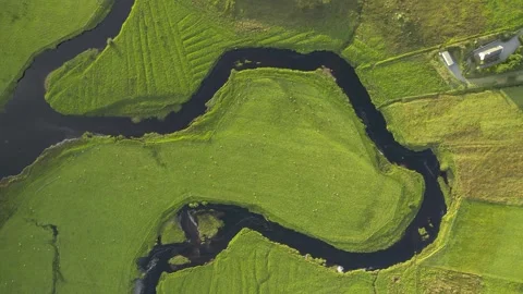 Green pastures 3 Stock Footage 263146857