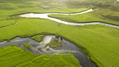 Green pastures 4 Stock Footage 263146982