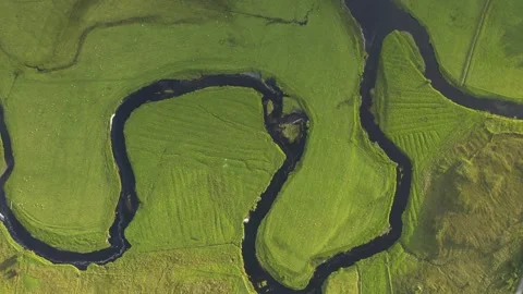 Green pastures 5 Stock Footage 263146886