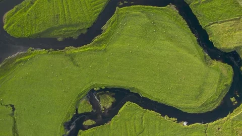 Green pastures 6 Stock Footage 263146900