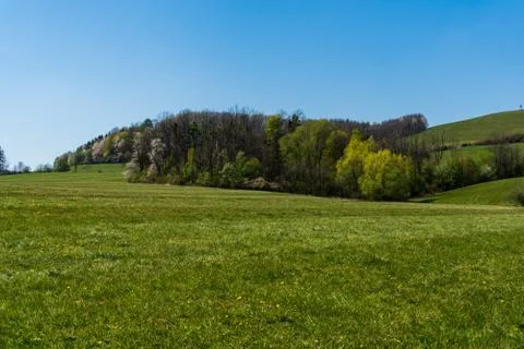 Green pastures in spring with flowering trees, Czech Beskydy Stock Photos
