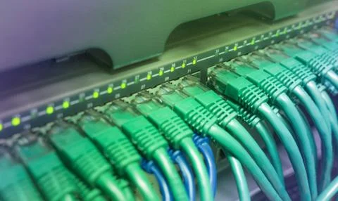 Green patch cord internet cables Stock Photos