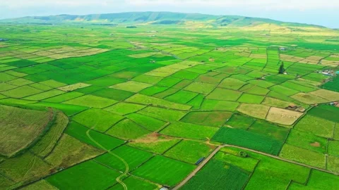 Green Patchwork Fields and Pasturelands. Terceira Island, Azores Stock Footage 346241969