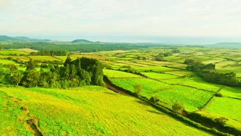 Green Patchwork Fields and Pasturelands in the Morning. Terceira Island, Azores Stock Footage 346406332