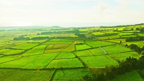 Green Patchwork Fields and Pasturelands in the Morning. Terceira Island, Azores Stock Footage 346406334
