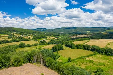 Green patchwork fields and wooded hills in summer Stock Photos