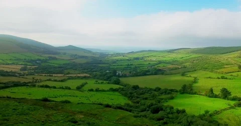 Green patchwork fields on the hills 4k Video stock 84038933