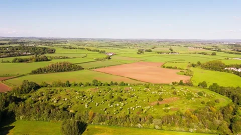 Green Patchwork Patterns of Farmland and Countryside Fields, Aerial Stock-Footage 341357656