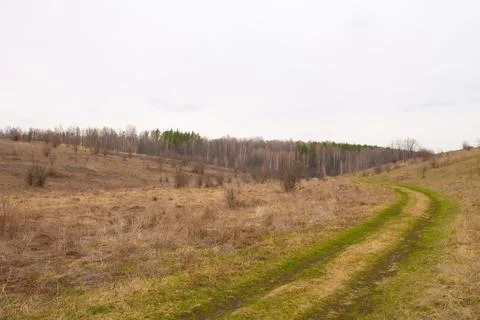 Green path on the background of dry grass. Landscape of a hilly area against  Stock Photos
