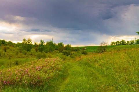 Green path on the background of dry grass. Landscape of a hilly area against  Stock Photos