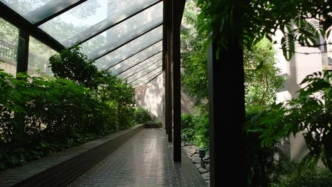 Green path in building Stock Footage 110135001