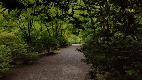 Green Path Video stock 105076069