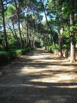 Green Path Perspective Stock Photos