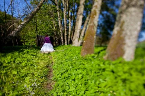 The green path Stock Photos