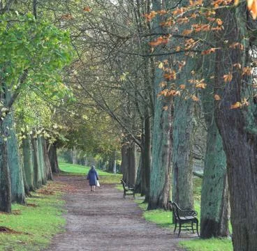 Green path Foto stock