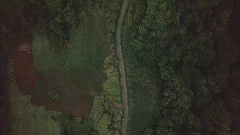 Green path on the top of the hill in between of the dark jungle top down view Stock Footage 100274849